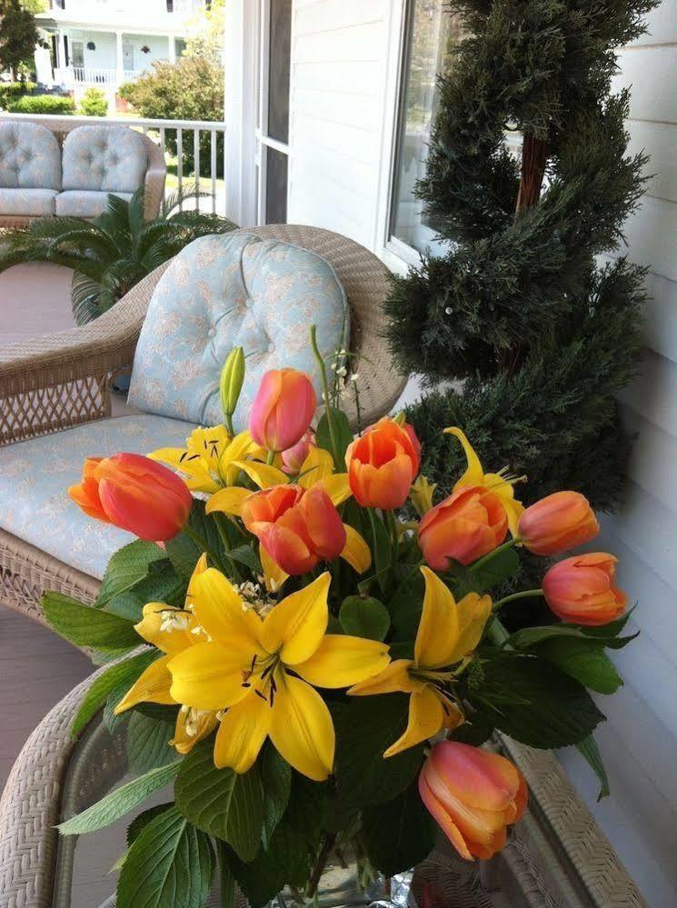 Bay Haven Inn Of كاب تشارليس المظهر الخارجي الصورة